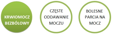 trzy koła w których są wymienione trzy objawy raka pęcherza moczowego: krwiomocz bezbólowy, częste oddawanie moczu i bolesne parcia na mocz