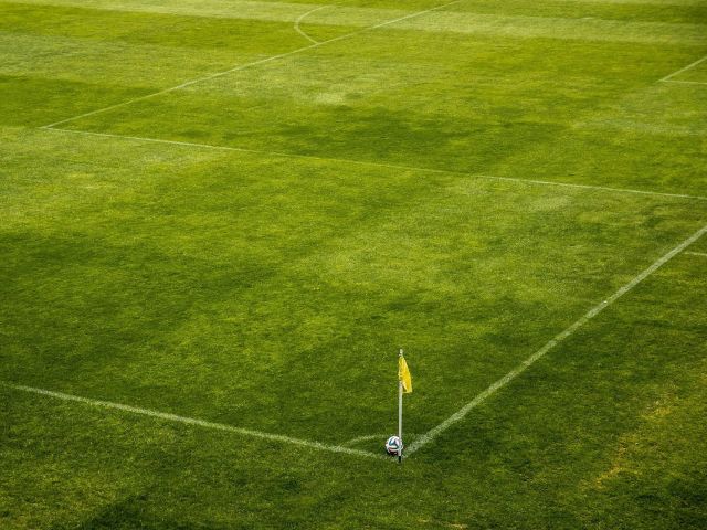 zielona murawa na boisku sportowym
