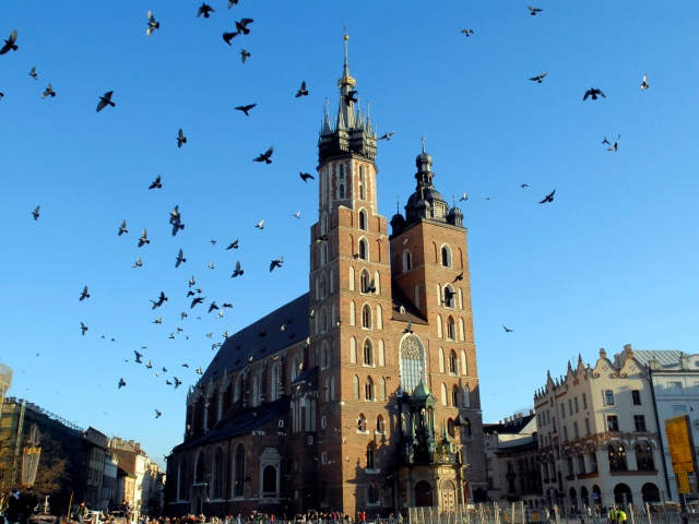 krakow widok na kosciół mariacki na tle błękitnego nieba na którym widać latające ptaki