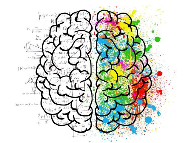 dwie połówki mózgu na rysunku. jedna wśród matematycznych wzorów, druga kolorowa 