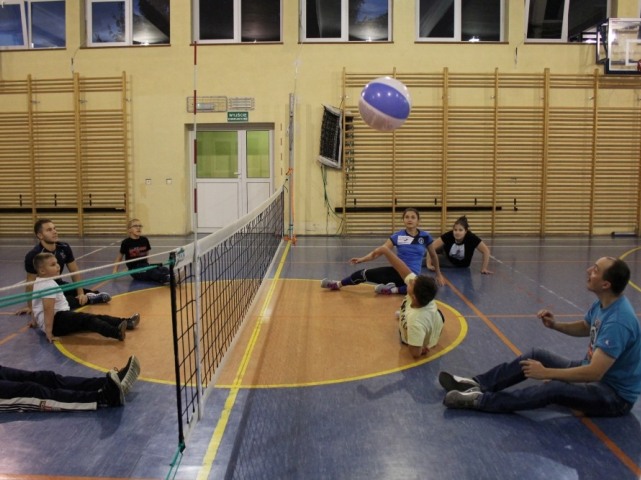 na hali drużyny siedzą po przeciwnej stronie siatki i grają w piłkę