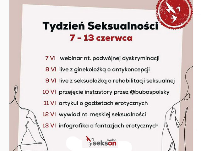 grafika z programem projektu SeksON na tydzień seksualności. Program jest w całości opisany w tekście