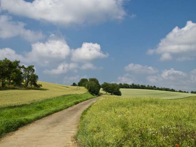 Widok krajobrazu w Bieszczadach.