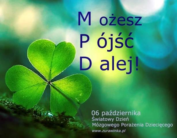 mpd_magazyn_glowne