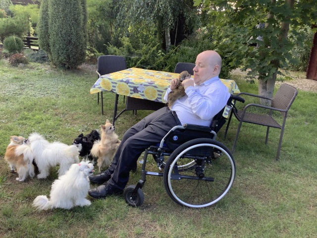 Senator Libicki bawi się w ogródku z pieskami rasy chihuaha.